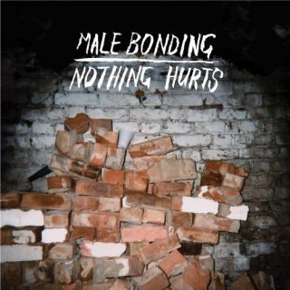 Nothing Hurts (Vinyl)