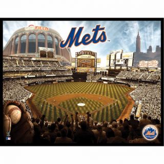 New York Mets 28 x 22 Glory Wall Art