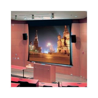 Access Series V Grey Electric Projection Screen with Low Voltage and