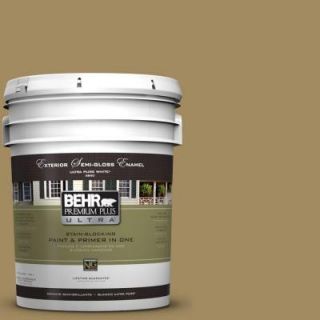 BEHR Premium Plus Ultra 5 gal. #S320 6 Garden Salt Green Semi Gloss Enamel Exterior Paint 585305