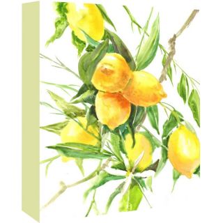 Lemon Tree Painting Print on Wrapped Canvas by Americanflat