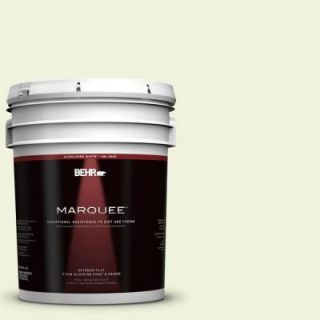 BEHR MARQUEE 5 gal. #410C 1 June Vision Flat Exterior Paint 445005