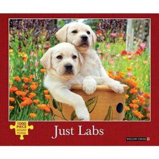 Just Labs 1000 Piece Puzzle