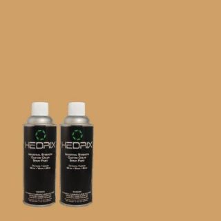 Hedrix 11 oz. Match of B 571 Canyonland Gloss Custom Spray Paint (2 Pack) G02 B 571