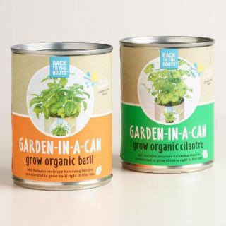 Cilantro and Basil Organic Garden in a Can, 2 Pack