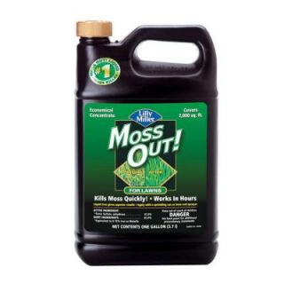 Lilly Miller 1 Gal. Moss Out for Lawns 100099156