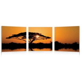 Baxton Studio Savannah Sunset Mounted Photography Print Triptych