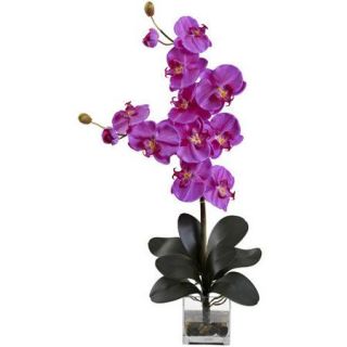 Nearly Natural Double Giant Phalaenopsis with Vase