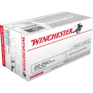 Winchester USA Centerfire 22 250 Rem 45gr JHP 40ct JHP Rifle Ammo 444340