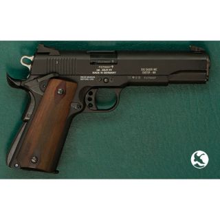 SIG Sauer 1911 22 Handgun uf104295196