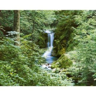 Ideal Decor 100 in. x 144 in. Waterfall in Spring Wall Mural DM279