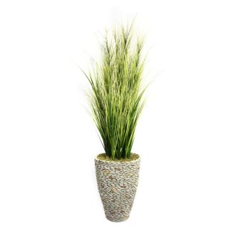 Laura Ashley 74 inch Tall Onion Grass with Twigs in Fiberstone Planter