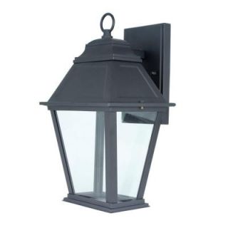 Wall Mount 12 Watt Outdoor Oil Rubbed Bronze LED Lantern with Clear Shade 73967