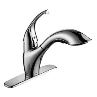 Kraus Kitchen Faucet with Pull Out Spray