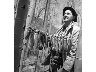 Fisherman with row of fish hanging between trees Poster Print (18 x 24)