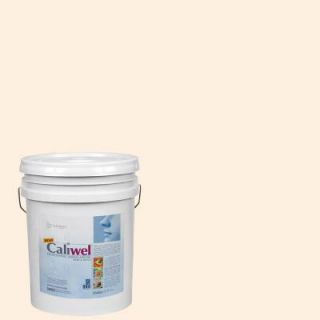Caliwel Home & Office 5 gal. Warm Hearth Beige Latex Premium Antimicrobial and Anti Mold Interior Paint 850856r