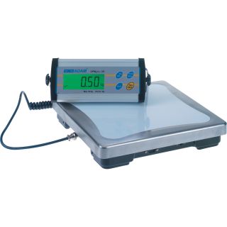 Adam Equipment Electronic Scale with Remote Display — 165-Lb. Capacity  Scales